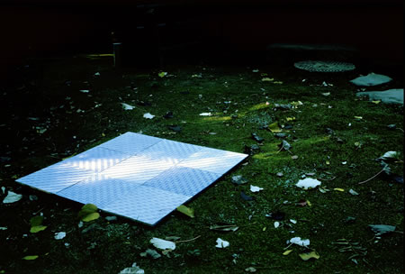 後楽園ガーデン出品作品画像