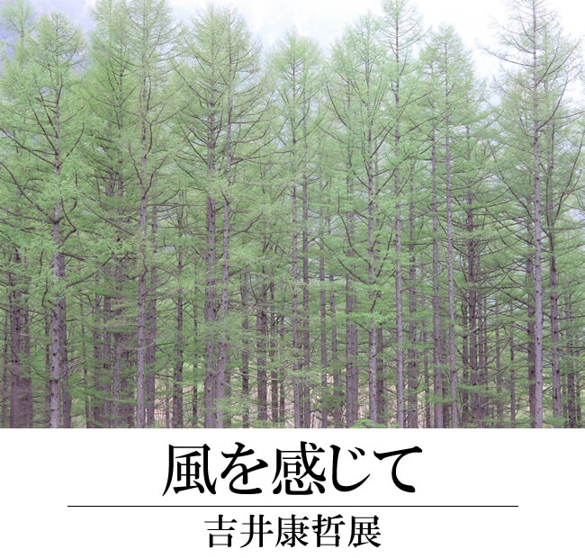 吉井康哲展「風を感じて」　長野県上高地